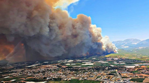 Эвакуация туристов из Турции в связи с лесными пожарами пока не планируется