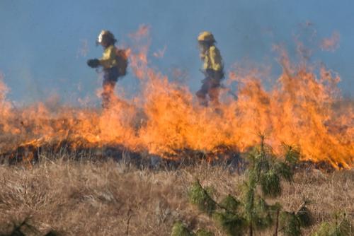 Двое рабочих погибли в субботу при тушении лесных пожаров в Турции