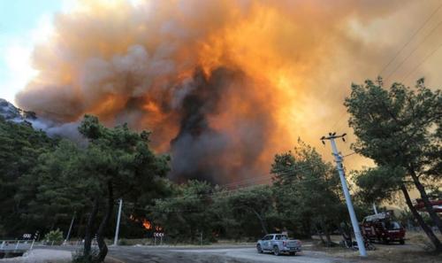 Возможно, пожары в Турции имеют рукотворное происхождение​