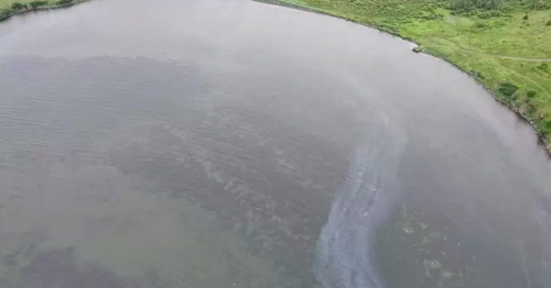 В бухте Чум в Хабаровском крае растеклось нефтяное пятно