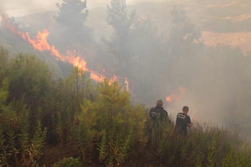 В Турции удалось взять под контроль почти все лесные пожары
