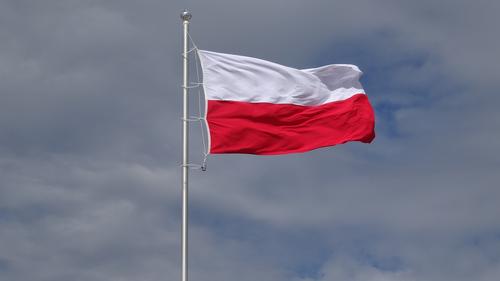 В Польше пограничники задержали группу нелегальных мигрантов из 62 человек