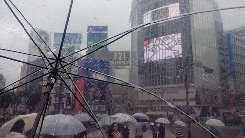 На Токио в день закрытия Олимпиады может обрушиться тропический шторм