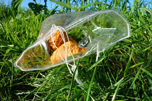 Исследование показало падение спроса на пластиковые пакеты в России