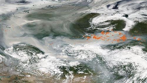 Дым от сибирских пожаров достиг Северного полюса