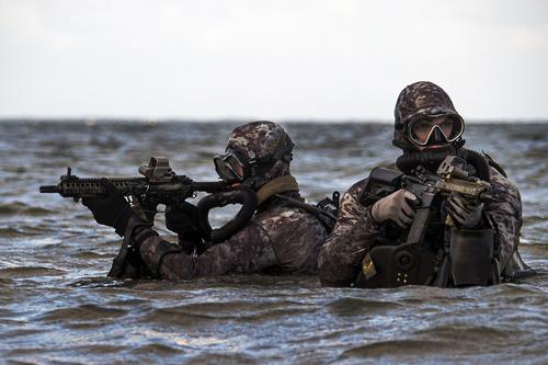 Сайт 19FortyFive: бойцы морского спецназа США «готовятся к войне против России или Китая»