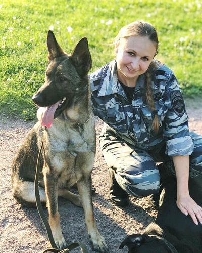 Российский пес, который спас девочку от маньяка в Питере, впервые получил итальянскую премию «Собачья верность»