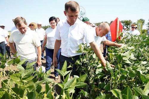 Новая субсидия в помощь аграриям планируется на Кубани