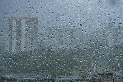 Синоптик Волосюк заявила, что в выходные в Москве будут идти дожди