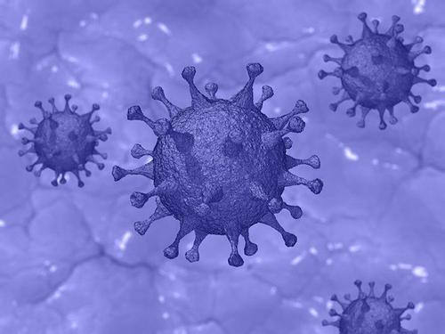 Иммунолог Редди допустил появление более опасного коронавируса в 2022 году