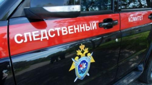 Суд Владикавказа арестовал мать, cтолкнувшую своего девятилетнего сына в реку