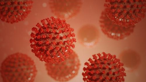 Попова заявила, что прививка с очень высокой долей вероятности защитит от бесконечного множества штаммов коронавируса