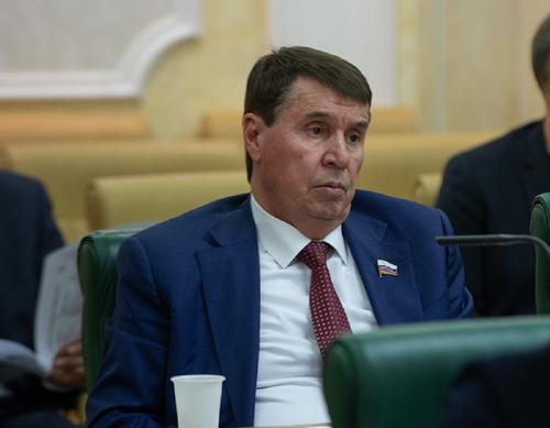  Крымский сенатор Цеков назвал «неприемлемым» условие пресс-секретаря Зеленского для встречи с Путиным 