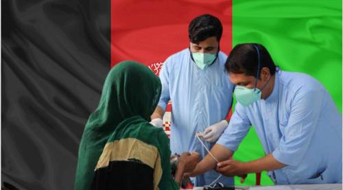 3000 рублей за спасение жизней: талибы предложили врачам в Афганистане чудовищно низкую зарплату