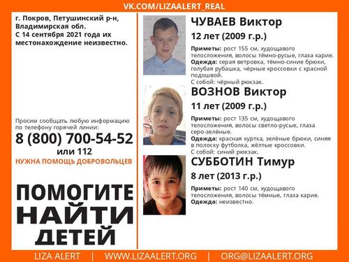 В городе Покрове Владимирской области пропали трое мальчиков  8, 11 и 12 лет