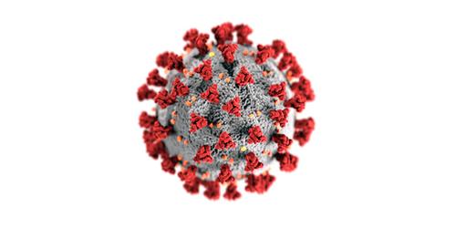 Коллективный иммунитет может появиться только с агрессивными штаммами вируса