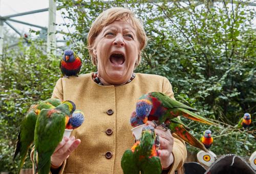 На канцлера ФРГ Ангелу Меркель «напал» попугай, когда она кормила птиц в парке Марлоу