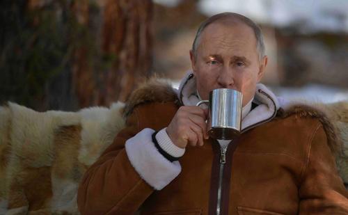 Во время отдыха в Сибири в машину Путина чуть не врезалось стадо «огромных» маралов