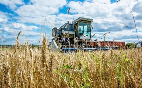 Урожай-2021 в Нижегородской области: темп очень хороший