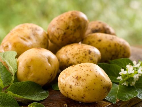 Минсельхоз увеличил импорт картофеля на 70%