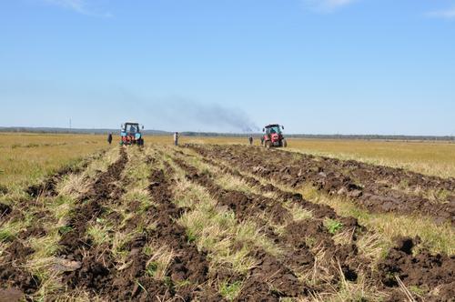 Ущерб от паводка сельскому хозяйству Хабаровского края оценили в 24 млн рублей