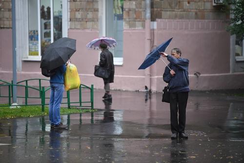В Москве за минувшие сутки выпало 32% месячной нормы осадков