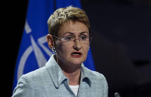 Официальный представитель НАТО Лунгеску: альянс сожалеет о приостановке работы миссий организации в РФ