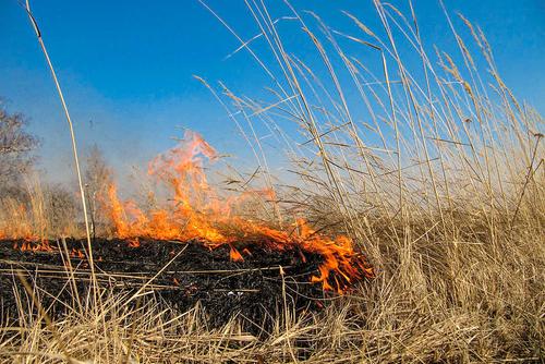 Неконтролируемые палы сухой травы отмечаются в Хабаровском крае