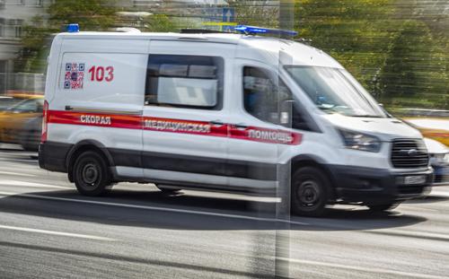 Ребенок был доставлен в московскую больницу после нападения домашней собаки