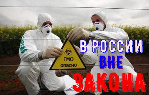 ГМО в России вне Закона