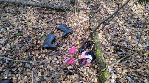 СКР: Десятилетнюю девочку нашли в лесу под Владимиром рядом с телом матери