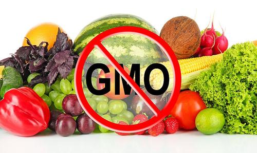 Только в одной Америке более 70% всей переработанной пищи содержит в себе ГМО