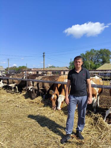 Кубань входит в тройку российских регионов-лидеров по производству молока