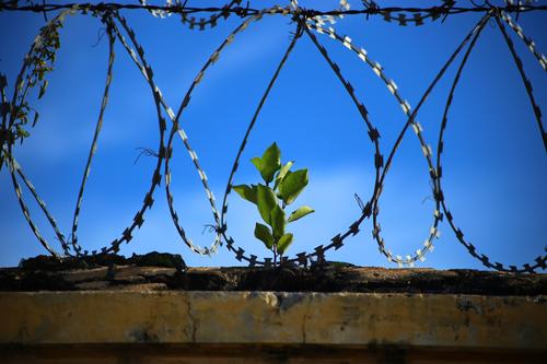 На Кубани создадут комиссию по наблюдению за содержанием заключенных