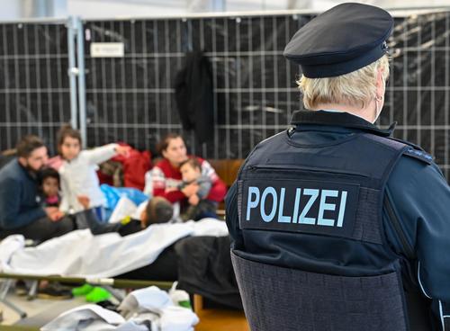 Глава МВД ФРГ Зеехофер заявил, что Германия и Польша не справятся с ситуацией на границе