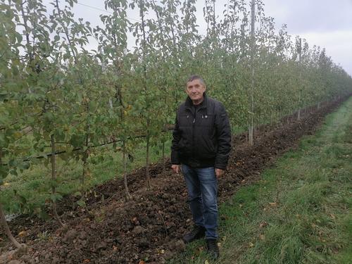 Фермер Владимир Юдин: растить яблоневый сад – для меня гордость и радость