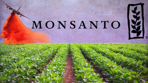 «Monsanto» и ГМО