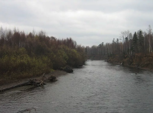 Золотодобытчики сбрасывают химикаты в реку в Хабаровском крае