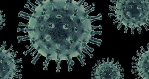 Вирусолог Шестопалов спрогнозировал спад пандемии в декабре этого года