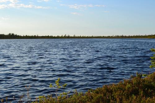 Газопровод загрязнил озеро в Хабаровском крае тяжелыми нефтепродуктами 