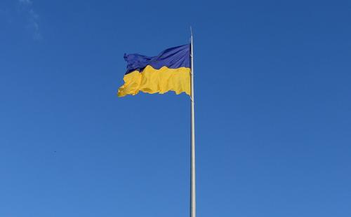 Экс-депутат Рады Царев предложил разделить Украину 