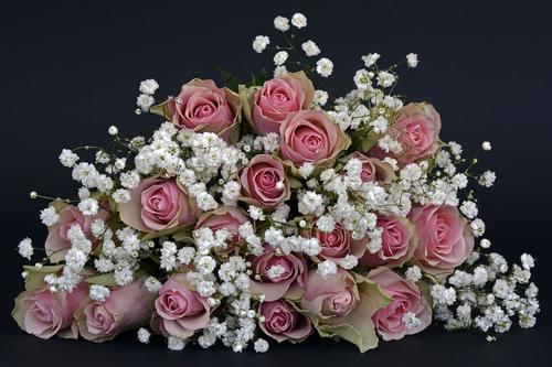 Флорист рассказал, какие цветы стоит дарить в День матери