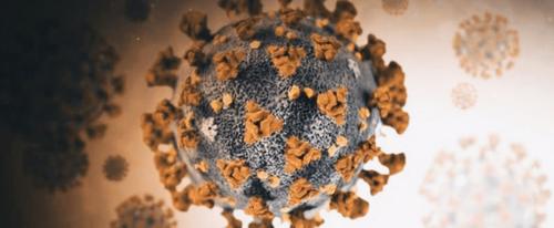 Новый африканский штамм коронавируса: стоит ли паниковать?