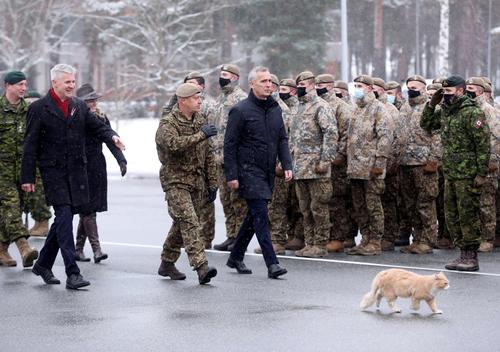 Главный кот Латвии инспектирует войска НАТО