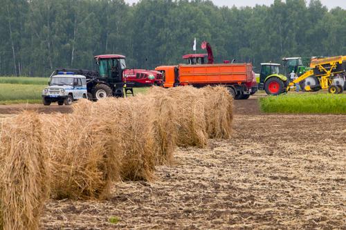 Более 3 миллионов рублей направлено на премирование лучших аграриев Челябинской области