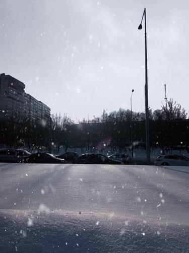 Мощный снегопад довел петербуржца до отчаяния