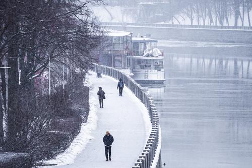 Метеоролог Вильфанд сообщил об аномальном похолодании в Москве с 20 декабря