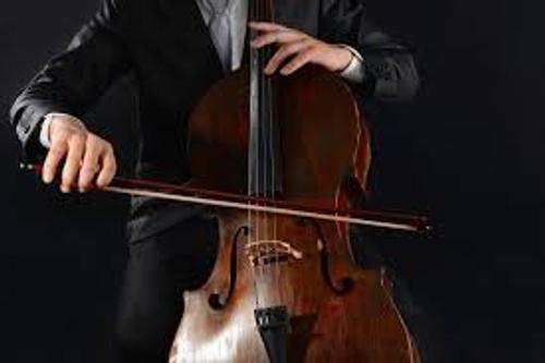 Сегодня отмечается Международный день виолончели