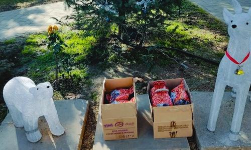 Мэр города Саки решил раздать на улице «лишние» детские новогодние подарки 