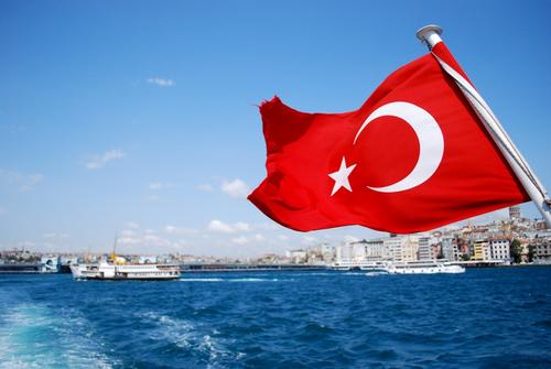 Эрдоган мечтает создать турецкий ОДКБ